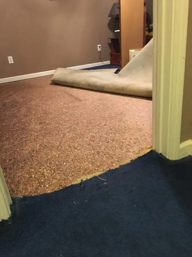 Carpet pad removal revealing water damage during Water Mitigation Services in Mapleton