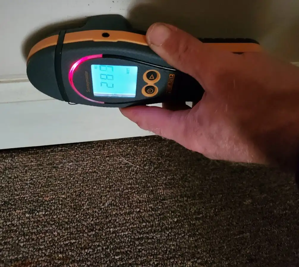 Moisture detection at baseboard during Mold Inspection & Testing in Mapleton